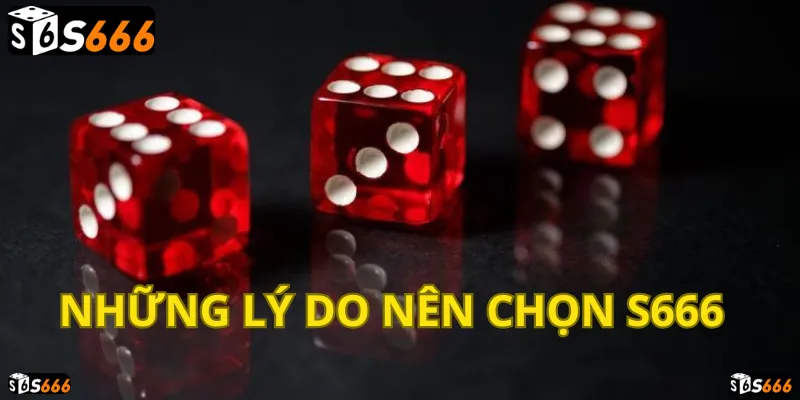 S666: Lựa chọn hàng đầu, rinh thưởng lớn, đổi đời nhanh chóng