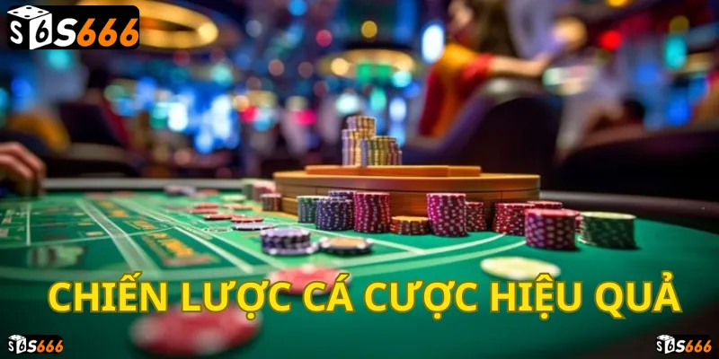 S666: Nhà cái uy tín, trải nghiệm đỉnh cao, rinh thưởng liền tay!