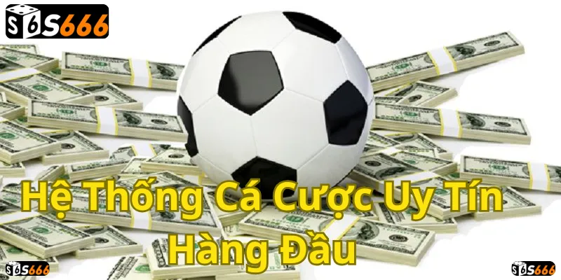 Sân chơi cá cược thể thao uy tín, tỷ lệ thắng cực cao