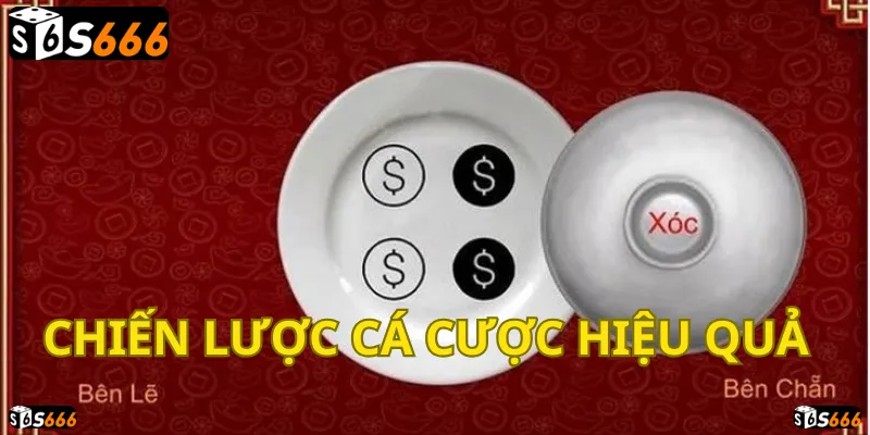 Xóc đĩa S666: Chiến lược đỉnh cao, rinh tiền về đầy túi